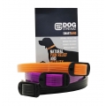 StreamZ Dog Collar - Magnetic Resonance Dog Collar